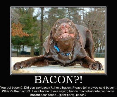 good dog.jpg (58.93 KiB) Viewed 106147 times good dog.jpg
